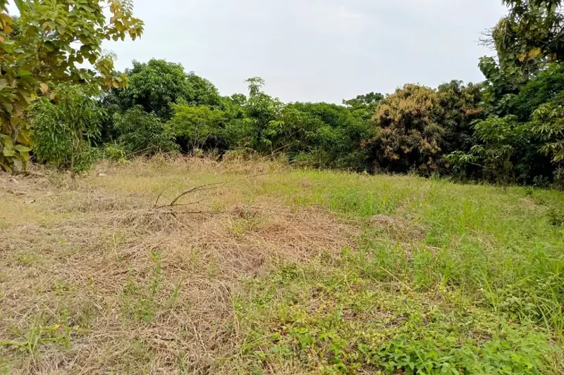 Toma de datos en un terreno rural