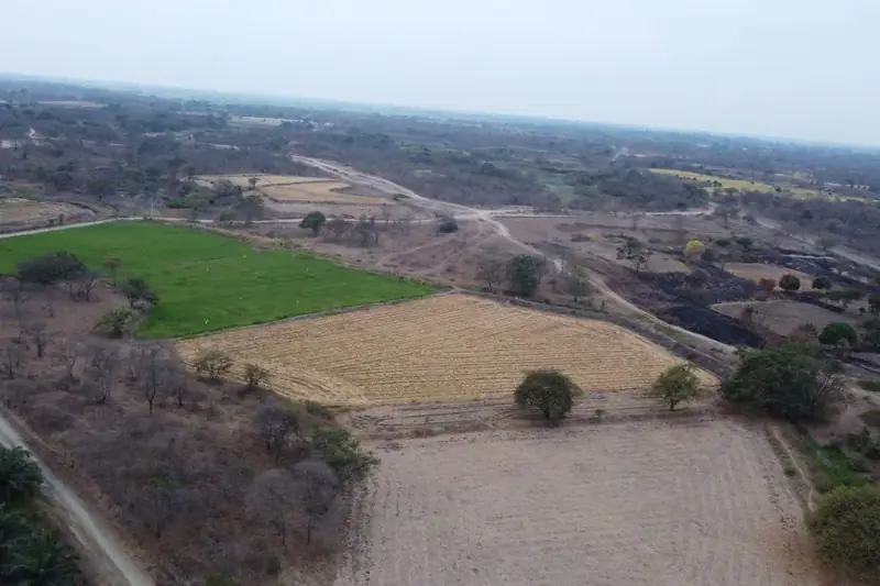 Vista aérea de parcelas agrícolas con distintos cultivos